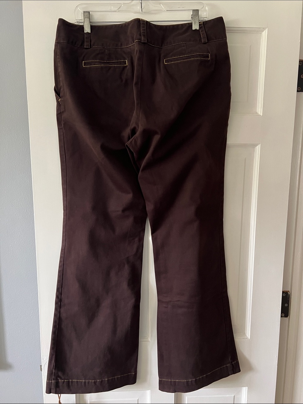 Daisy Fuentes Dark Brown Chinos